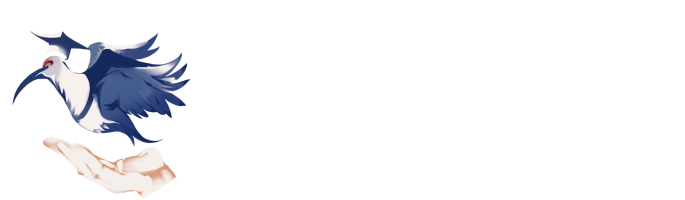 Aula Virtual del Preuniversitario Social Educando Fronteras